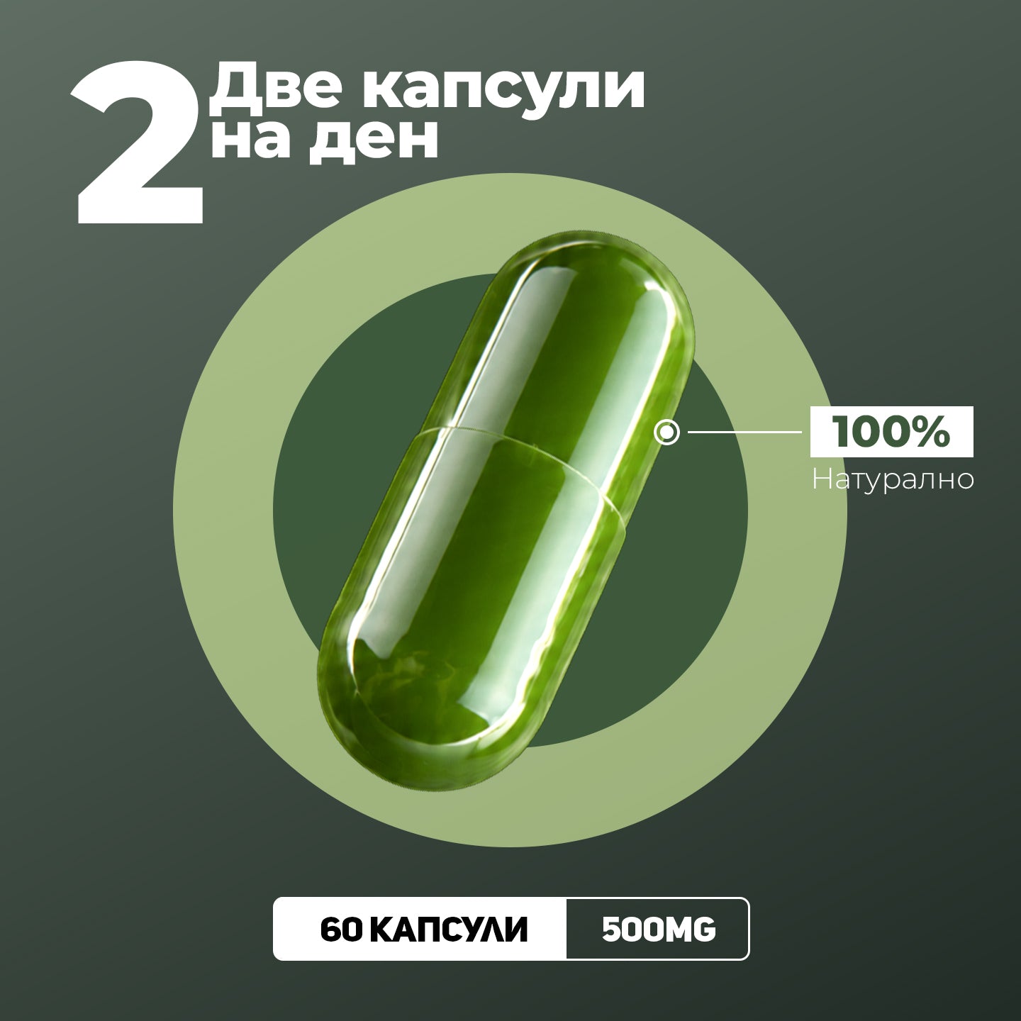 Memorika Моринга - Естествена подкрепа за кортизола и цялостния баланс