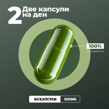 Memorika Моринга - Естествена подкрепа за кортизола и цялостния баланс